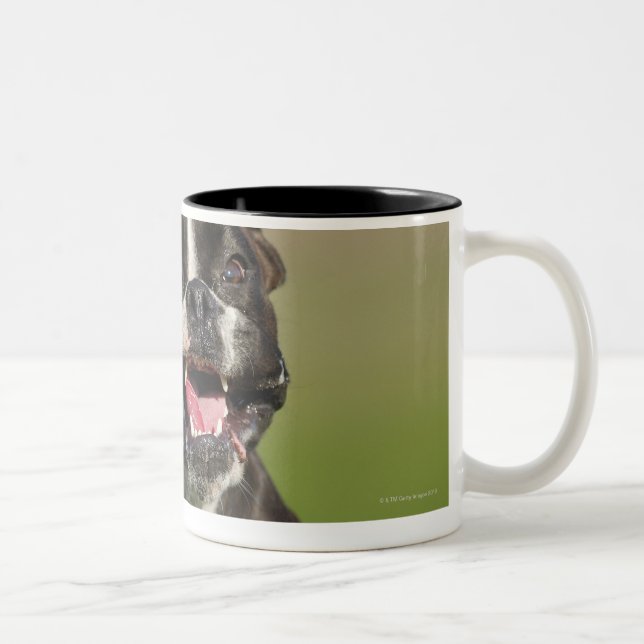Hundspring Två-Tonad Mugg (Höger)