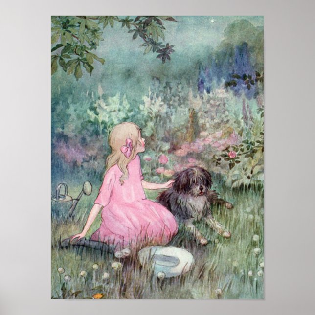 Hundstjärnan på himlen poster (Framsidan)