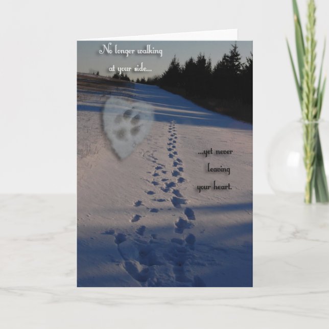 Hundsympati Kort (Framsida)