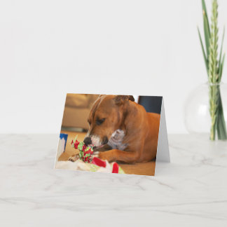 Hundtackkort Tack Kort