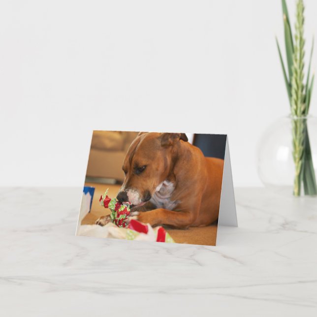 Hundtackkort Tack Kort (Framsida)