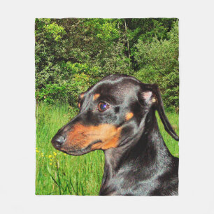 Hundtax Doxie Fleecefilt