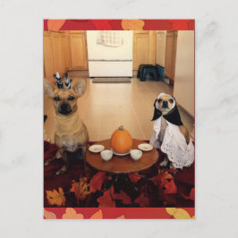 Hundthanksgiving Helg Vykort