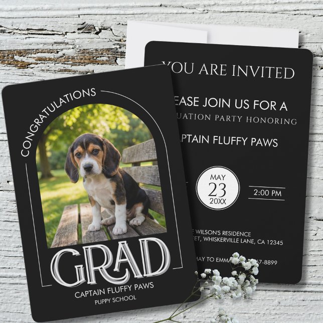 Hundträningsskola Husdjur Foto Svart Examen Meddelande (Black Dog graduation announcement . dog obedience training school)