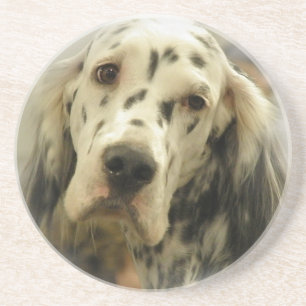 Hundunderlägg för engelsk Setter Underlägg Sandsten