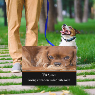 Hundvakt Ruby Cavalier King Charles Spaniel  Visitkort