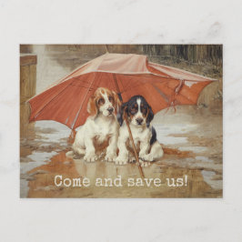 Hundvalpar under paraplyet CC0181 Trood Vykort