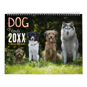 Hundvänner Väggkalender 2027 Djur Kalender