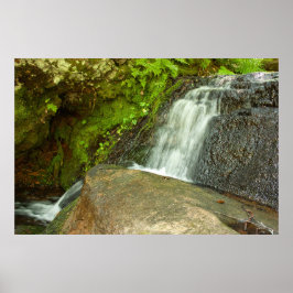 Hungarian Falls Mossy Forest Cascade Poster