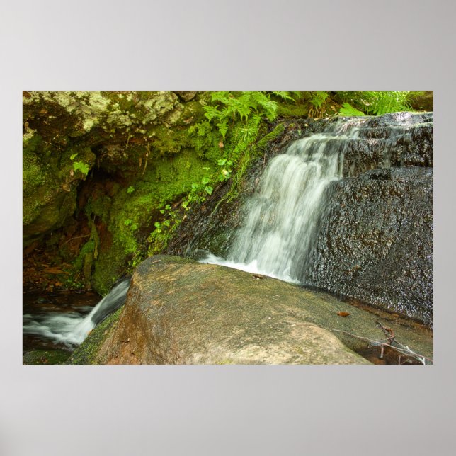 Hungarian Falls Mossy Forest Cascade Poster (Framsidan)