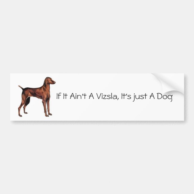 Hungarian_Vizsla om det inte är en Vizsla, är det Bildekal (Framsidan)