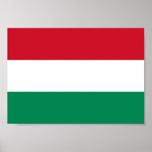 Hungary Flag Poster