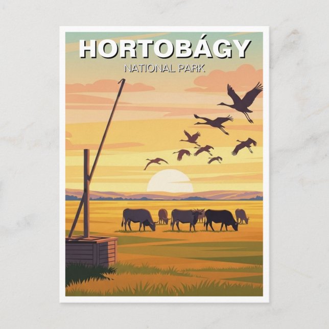 Hungary Hortobagy National Park Travel Vykort (Framsida)
