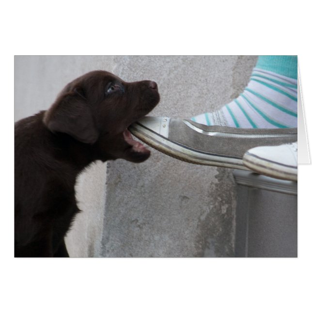 Hungrig Brown Labrador Puppy Hälsningskort (Framsidan Horizontal)