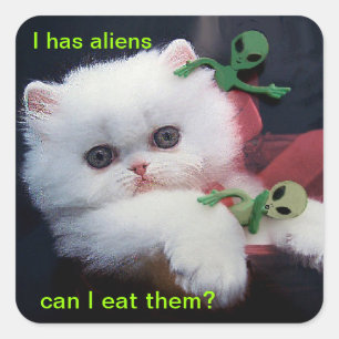 Hungrig Cute Kitten - Fyrkantigt Klistermärke
