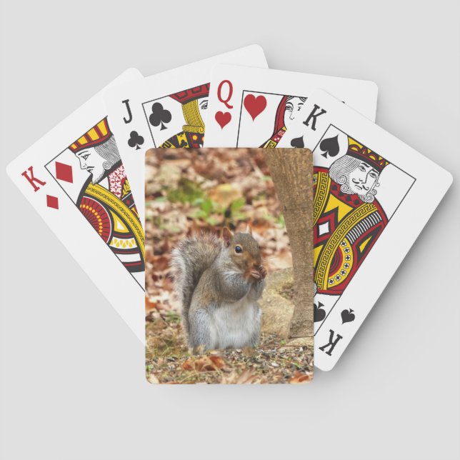 Hungrig ekorre casinokort (Baksidan)