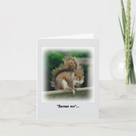 Hungrig ekorre tittar för gratis utlämning kort