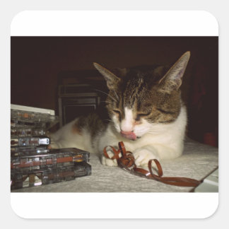 Hungrig för kassetter fyrkantigt klistermärke