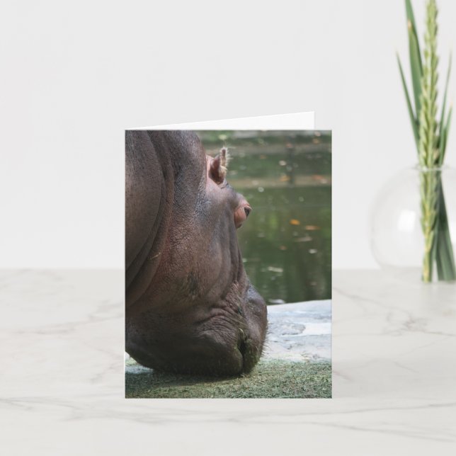 Hungrig Hippo Notecard Kort (Framsida)