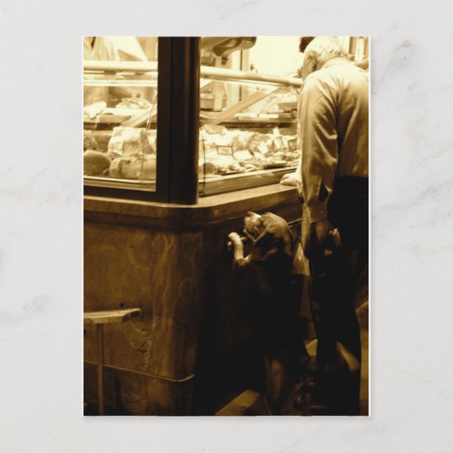 HUNGRIG HUND i ITALIEN Vykort (Framsida)