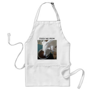 Hungrig Hund som inte kan vänta på att äta Förkläde