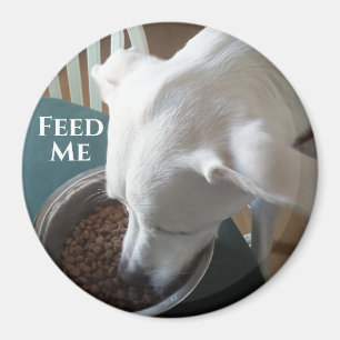 Hungrig Hund som inte kan vänta på att äta Magnet