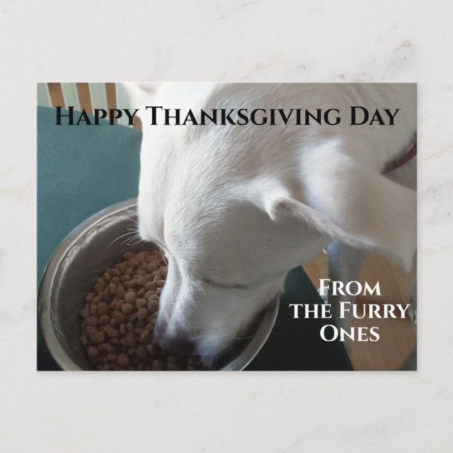 Hungrig Hund som inte kan vänta på att äta Vykort (Framsida)