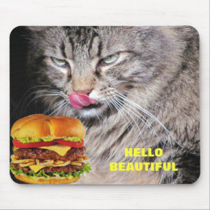 Hungrig Kat Meets Vacker Cheeseburger Musmatta