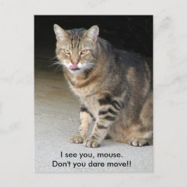 Hungrig kattvykort vykort