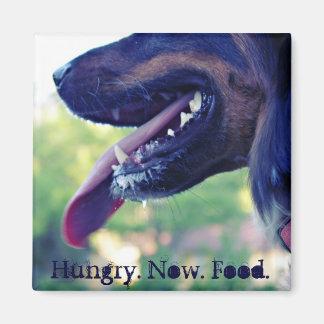 Hungrig magnet för rygg