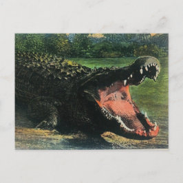 Hungrig människoätande alligator vykort