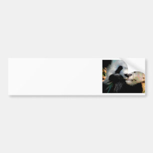 Hungrig Panda Bildekal