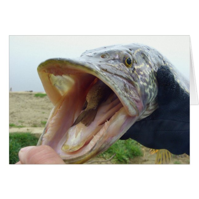 Hungrig Pike Hälsningskort (Framsidan Horizontal)