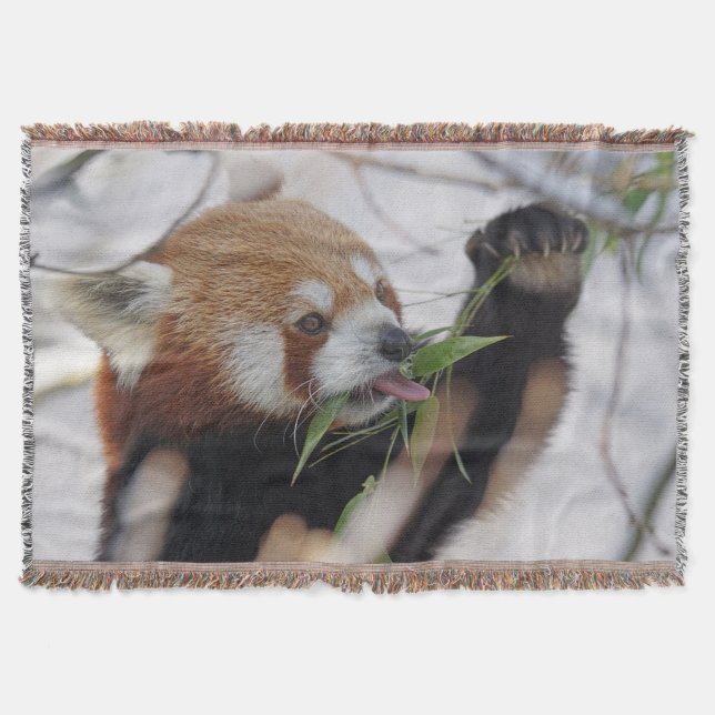 Hungrig Red Panda Filt (Framsidan)