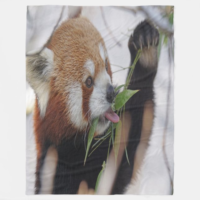 Hungrig Red Panda Fleecefilt (Framsidan)