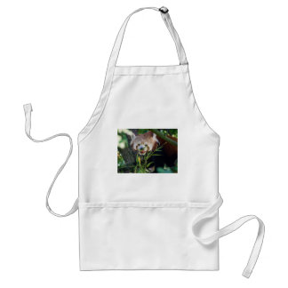 hungrig röd panda förkläde