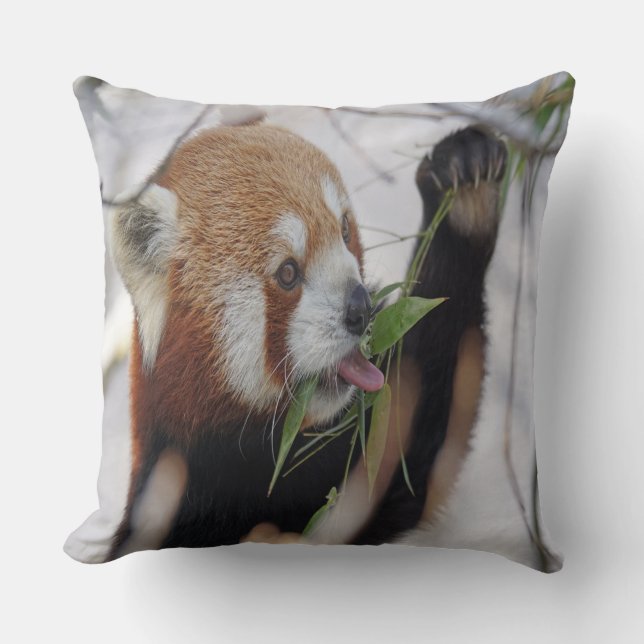 Hungrig Röd Panda Kudde (Framsida)