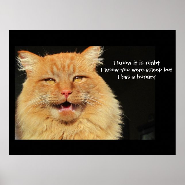 Hungrig Talking Cat haiku Poster (Framsidan)