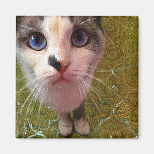 Hungriga kattfäste magnet