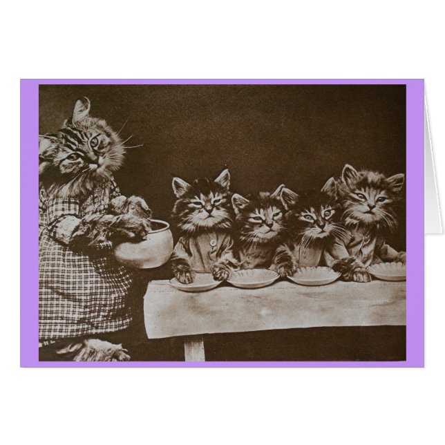 hungriga kattungar hälsningskort (Framsidan Horizontal)