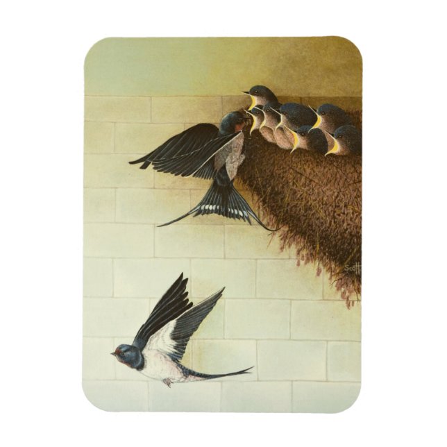 Hungriga Mouths 2011 Magnet (Vertikal)