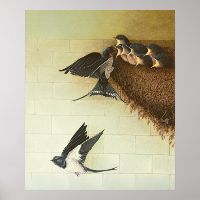 Hungriga Mouths 2011 Poster (Framsidan)