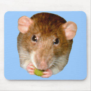 Hungriga Råtta Mousepad Musmatta