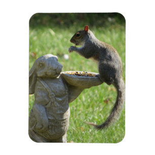 Hungrigare ekorre och Bunny Statue Magnet