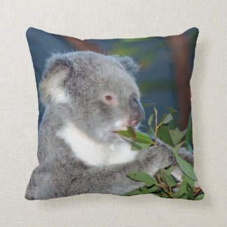 Hungrigare Koala Kudde