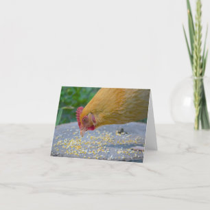 Hungrigt Chicken Notecard Kort
