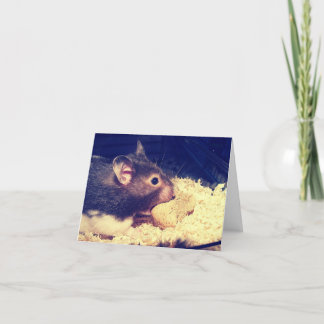 Hungrigt Hamster-kort Kort