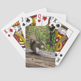 Hungry Squirrel Casinokort