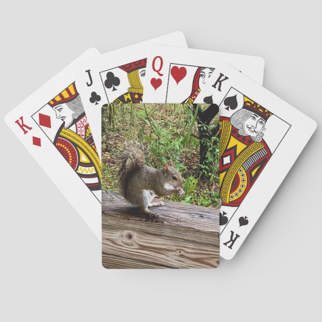 Hungry Squirrel Casinokort (Baksidan)