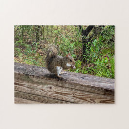 Hungry Squirrel Pussel
